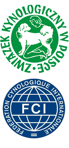 zkwp i fci logo